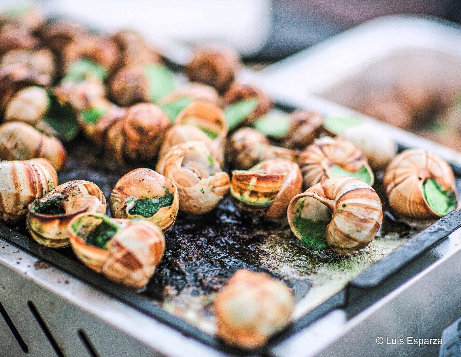 Santa Barbara Wine Fest